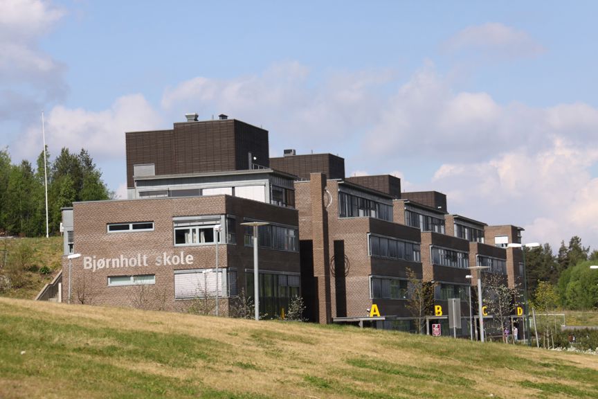 Bjørnholt skole